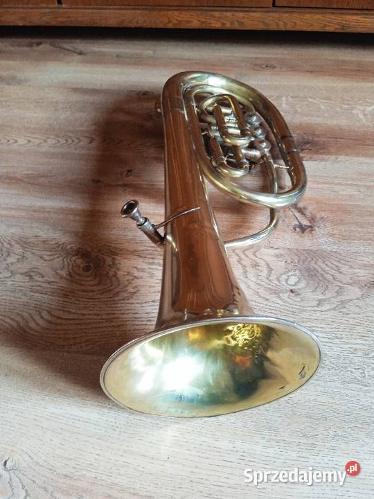 Zabytkowa trąba Kraków