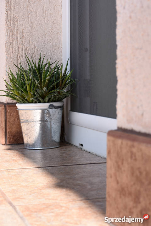 MOSKITIERA na okno kołnierzowa profil aluminiowy Białystok