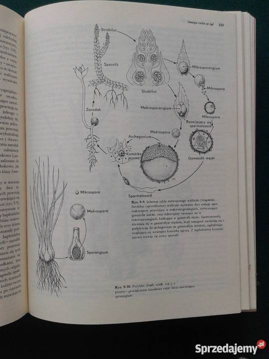 BIOLOGIA Claude AVillee Leszno sprzedam