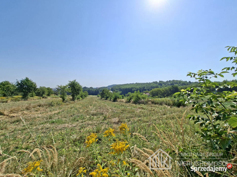 Bodzanów k Wieliczki działka bud 18a MN40a R Sprzedaż