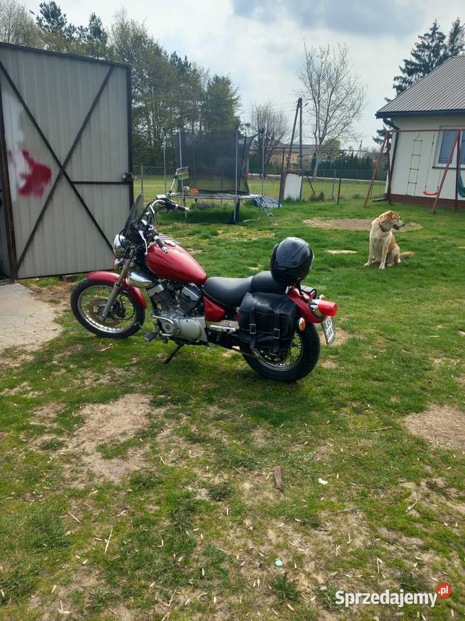 Yamaha virago 125250 Motoryzacja Krasnystaw