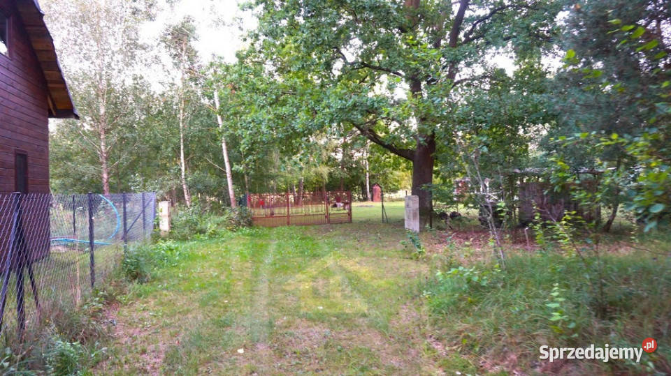 Działka letniskowa w pobliżu Narwi Ostrykół Dworski