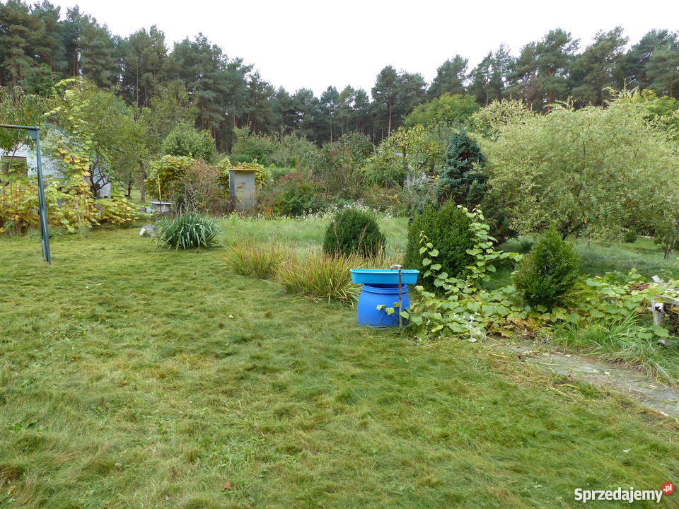 Działka rekreacyjna ROD Promyk 400m2 lubuskie Zielona Góra