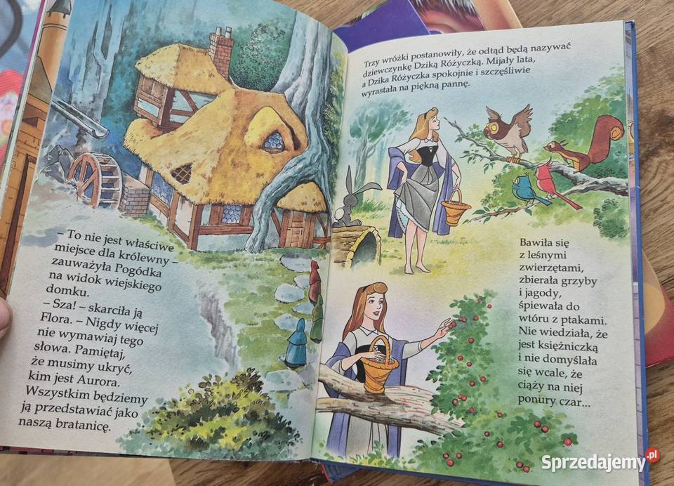 Książki Disney Klub Książek Disneya Śpiąca Gdańsk sprzedam