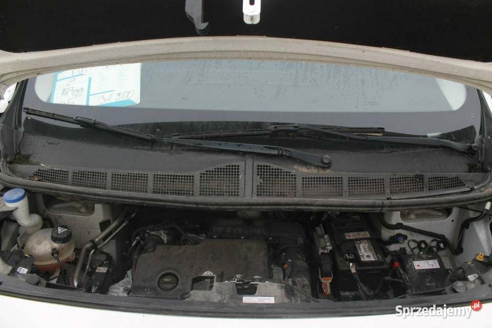 Fiat Scudo Ostrów Wielkopolski