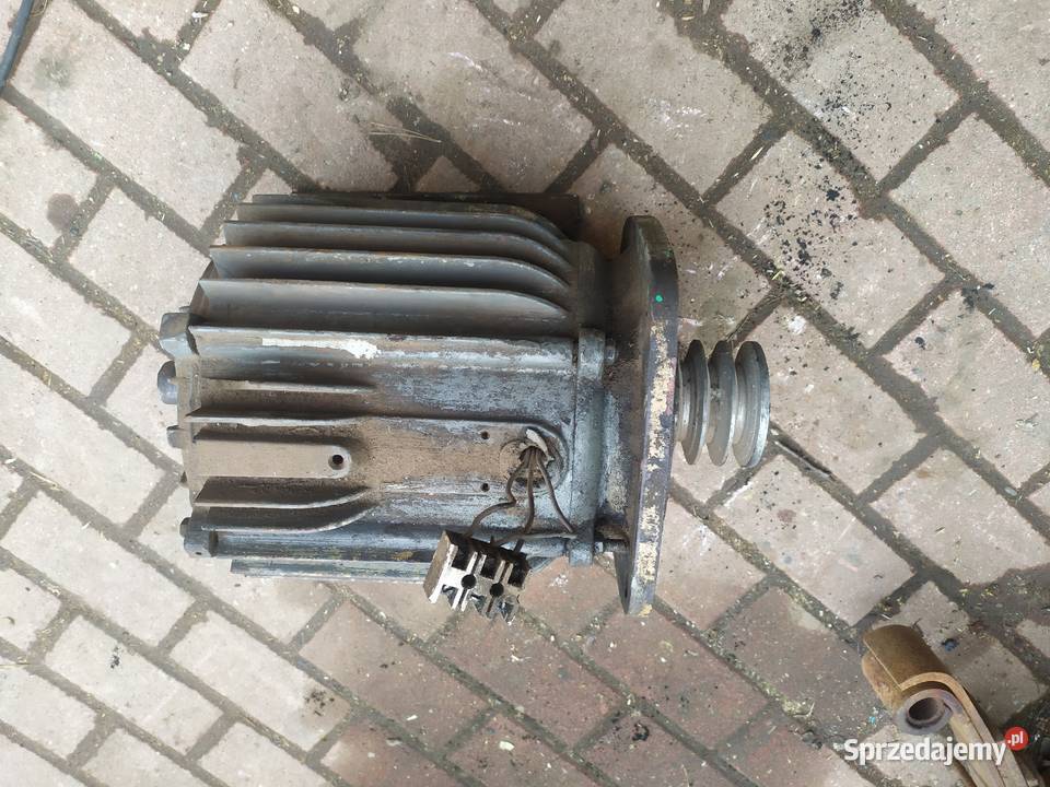Silnik elektryczny 30 kw Pniówek