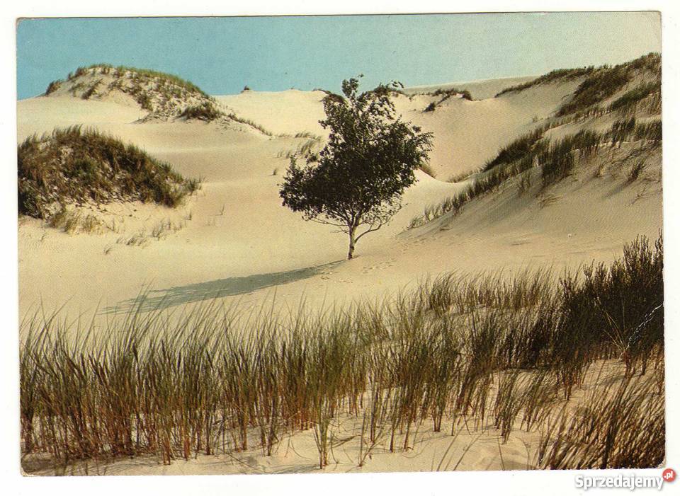 SŁOWIŃSKI PARK NARODOWY POCZTÓWKA świętokrzyskie sprzedam