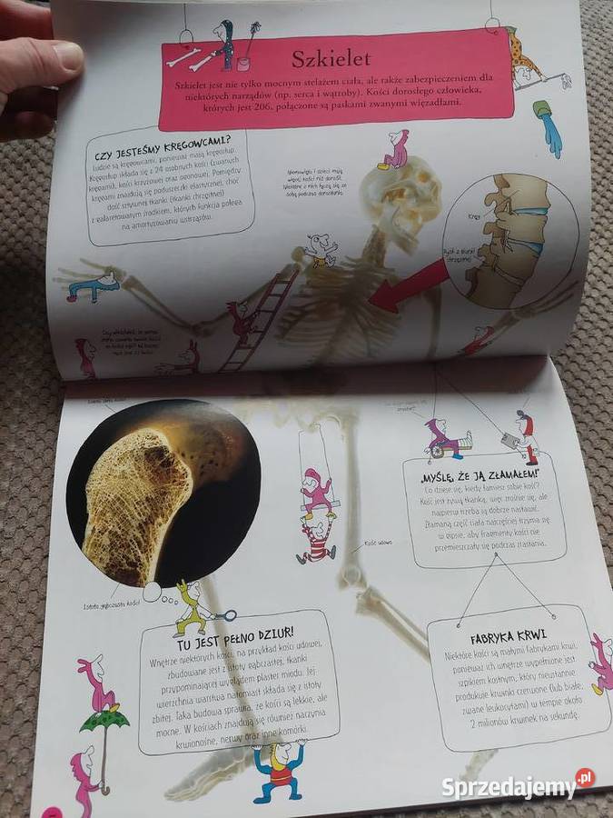 National Geographic Małe Mózgofalki poznają Kraków