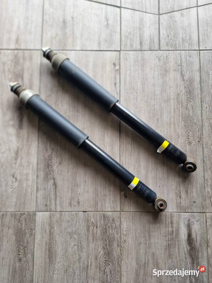 Amortyzatory tył Nissan Leaf Bydgoszcz