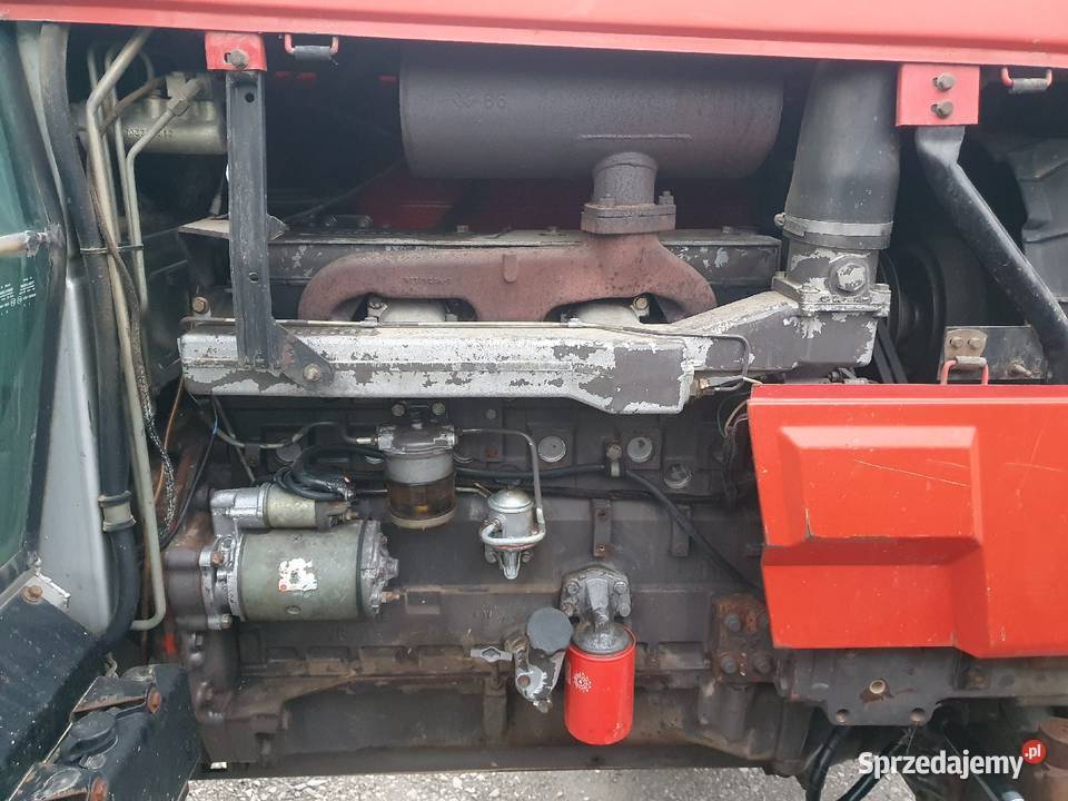 Massey ferguson 3095 lubelskie