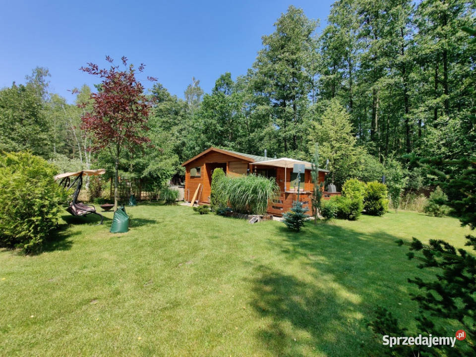 Działka ROD Biała Brzoza utwardzona Wola Prażmowska