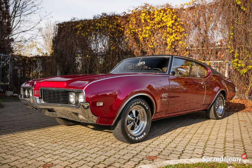 Oldsmobile 442 benzyna Sucumin