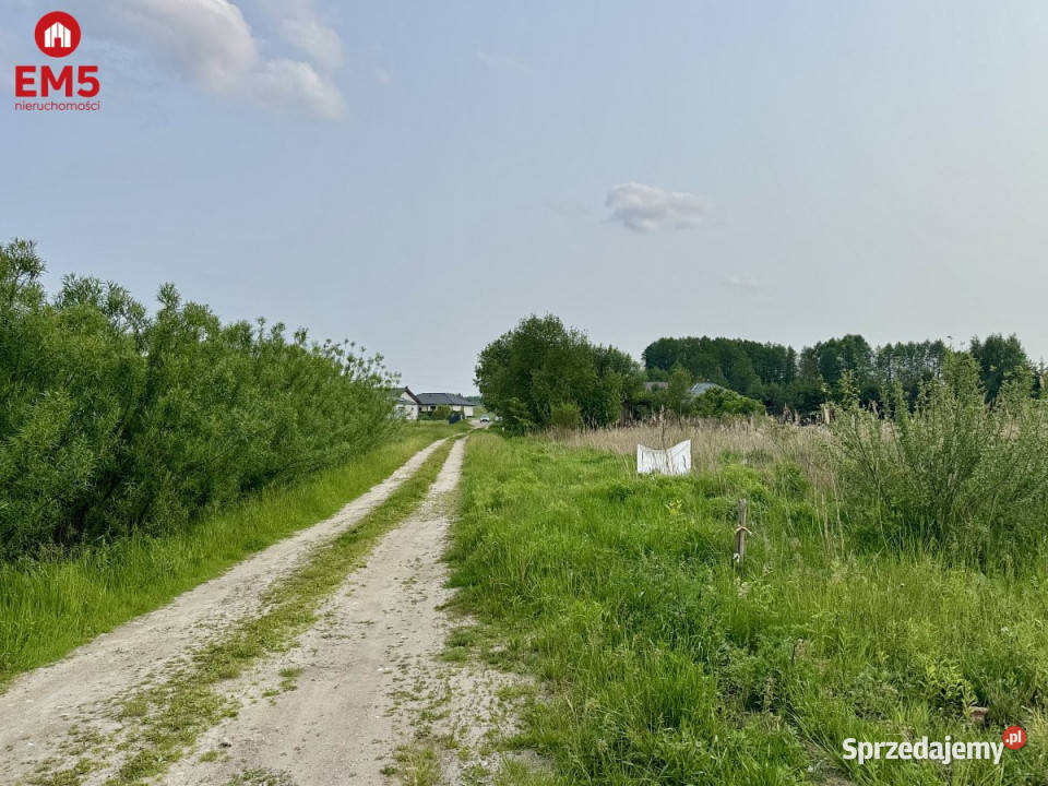 Działka 2855m2 Dąbrówno telefon Sprzedaż Nowodworce sprzedam