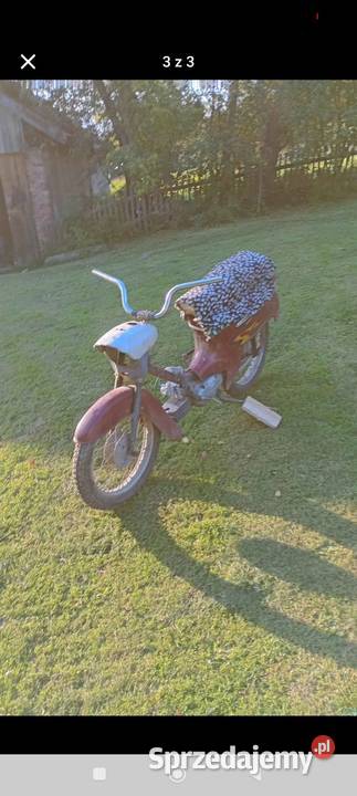 Java 50 kaczka Łańcut