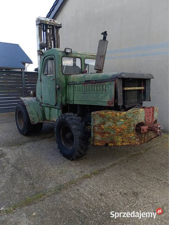 Sprzedam Widlak śląskie