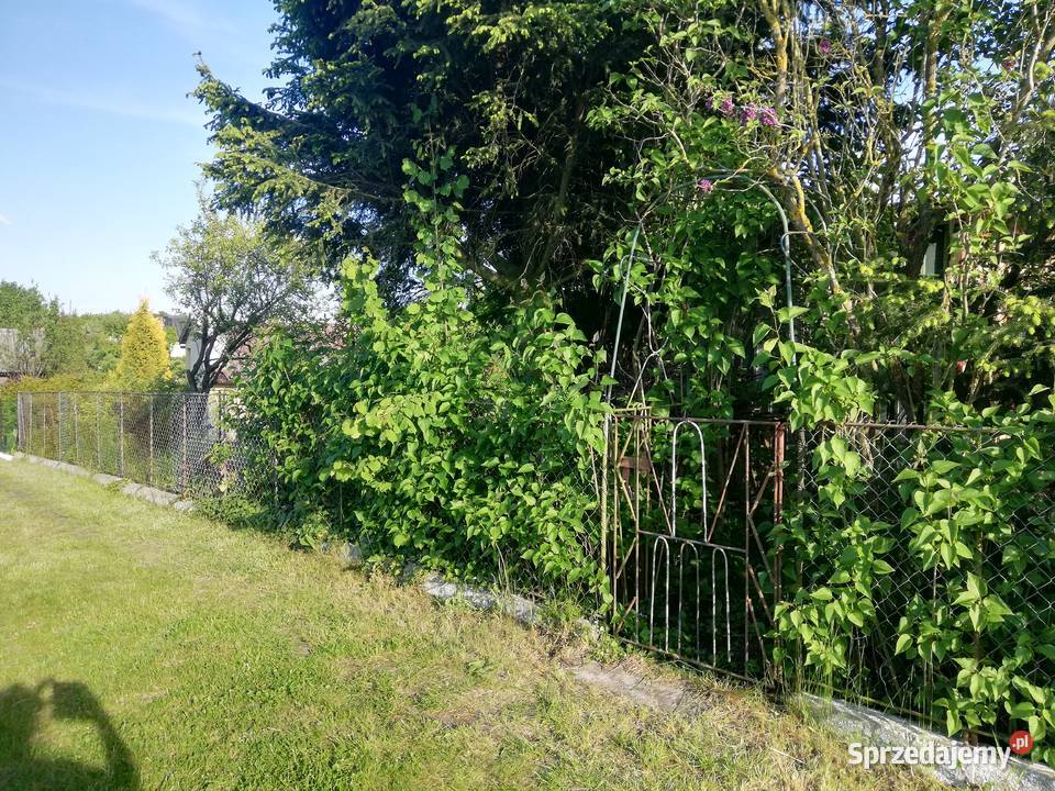 Działka rekreacyjna ROD