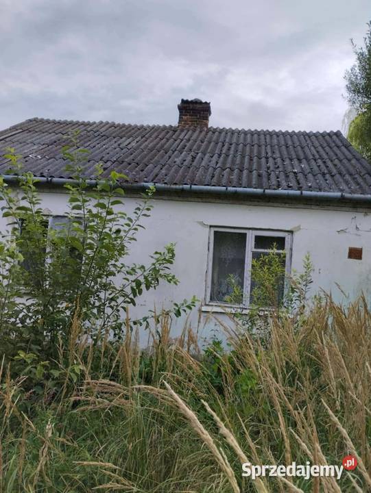 sprzedam dom piwnica