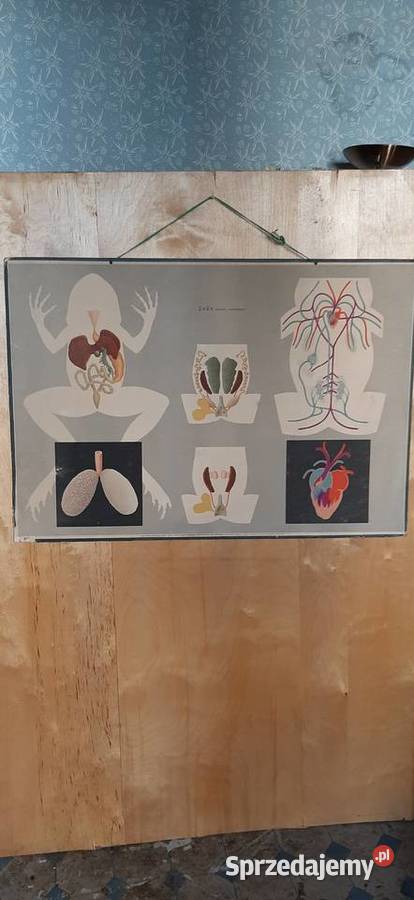 Tablice edukacyjne prl dolnośląskie Świdnica