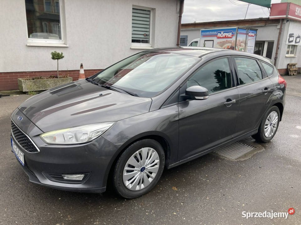 Ford Focus Focus 10 EcoBoost Klima Salon 2015 Syców