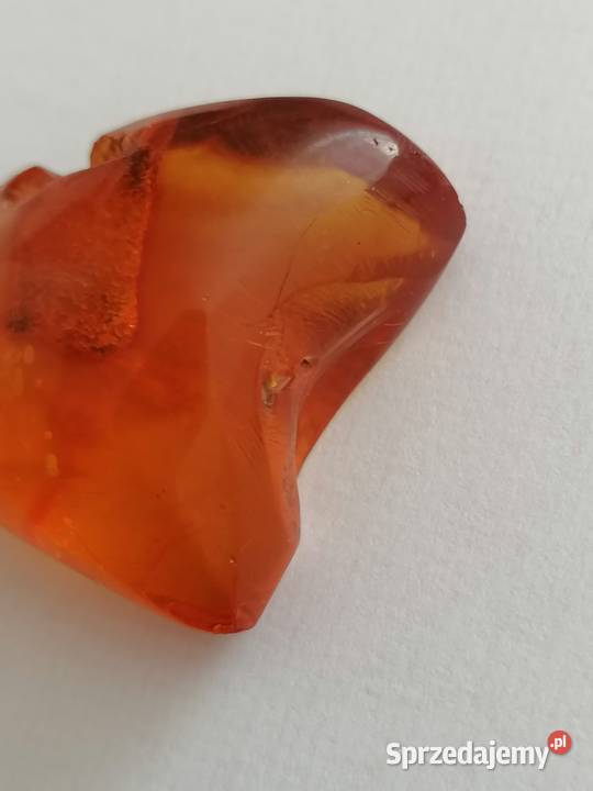 Bursztyn inkluzja podlaskie Białystok