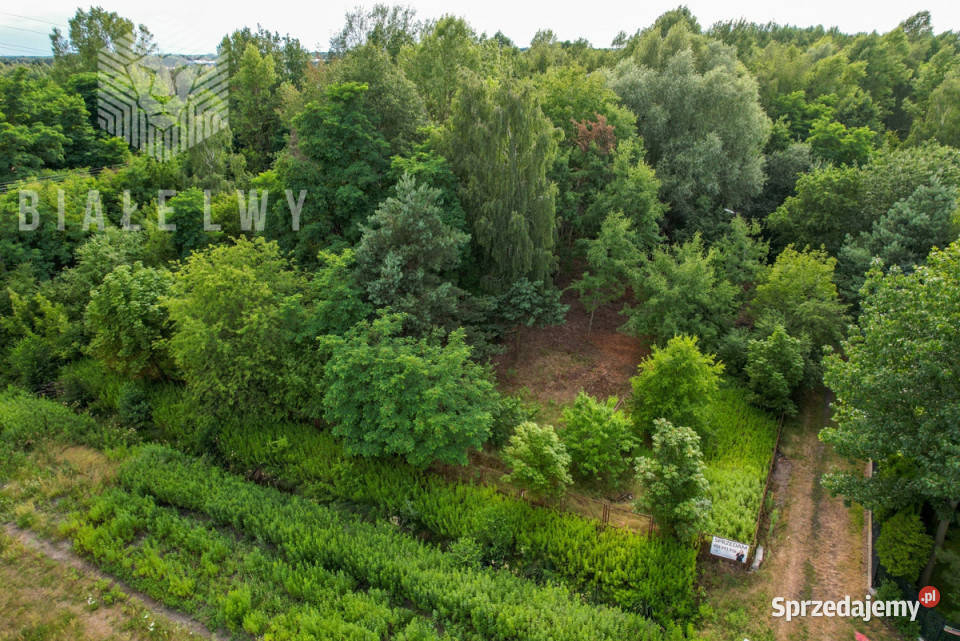 Sprzedaż ziemi 1195m2 Wilcza Góra Polna 36m Sprzedaż sprzedam