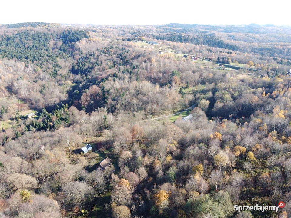 Siedlisko w lesie mieszkalny Domaradz sprzedam