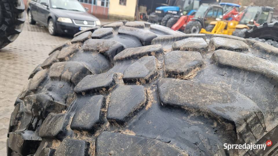 46070r24 4607024 175LR24 44570r24 Apollo 2023r Nowe Miasto Lubawskie