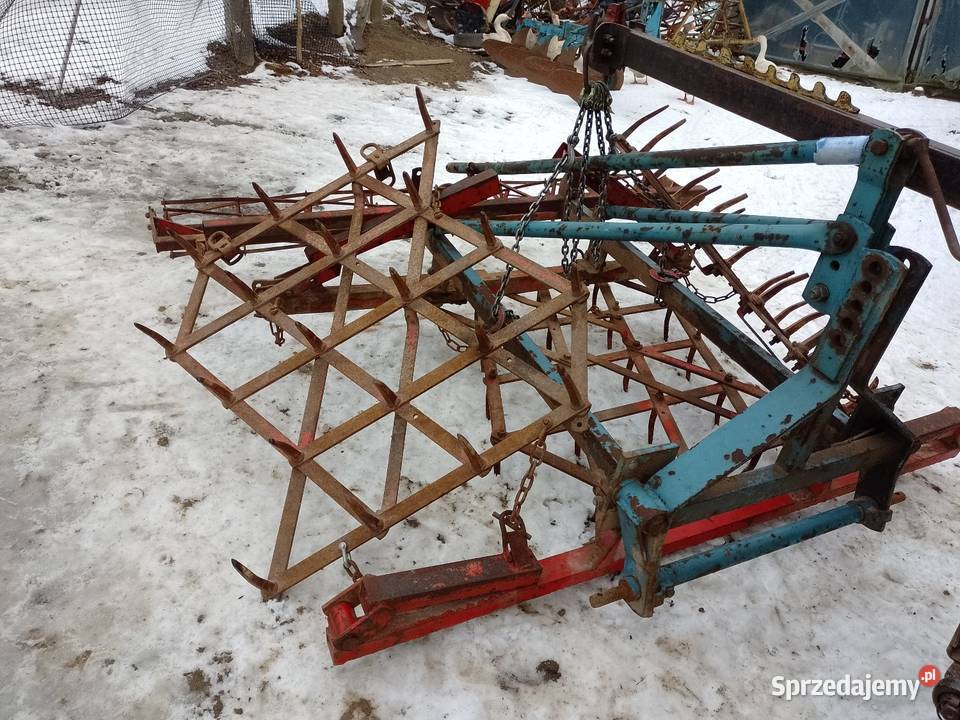 Sprzedam brony ciężkie Brony Jastrzębia