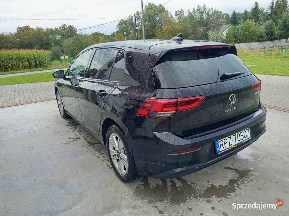 Golf 8 VIII 15etsi nowy Golf Przeworsk