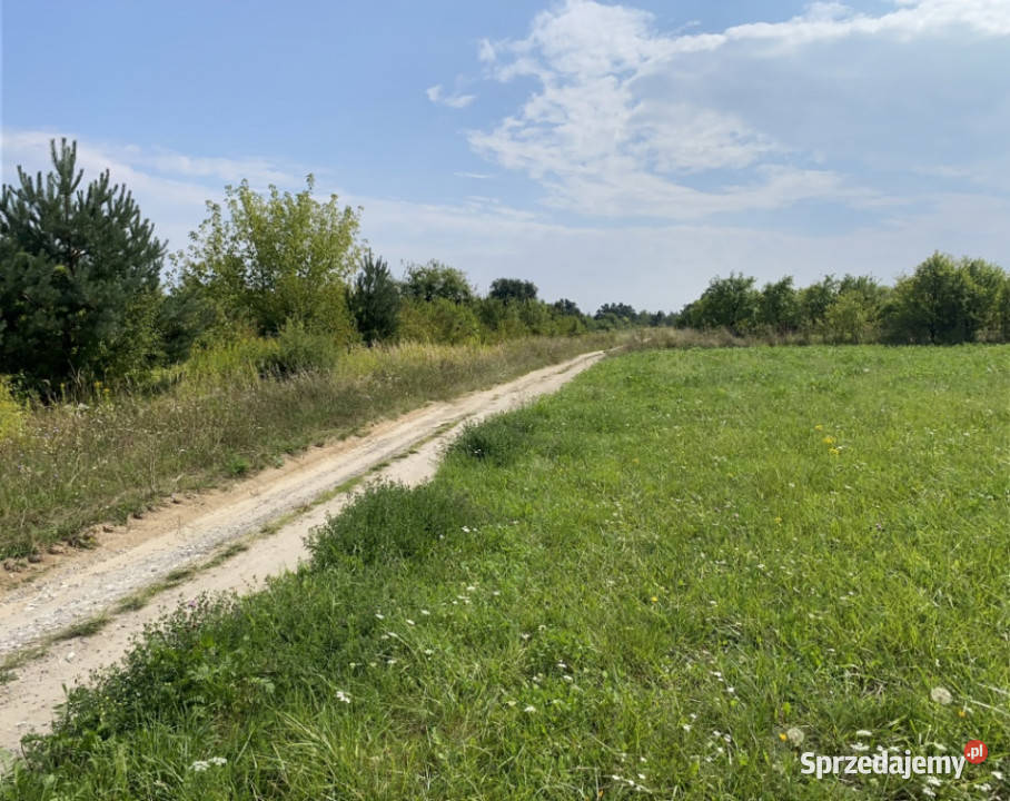 Piękna Działka na Wsi Okale k Kazimierz Dolnego Kazimierz Dolny