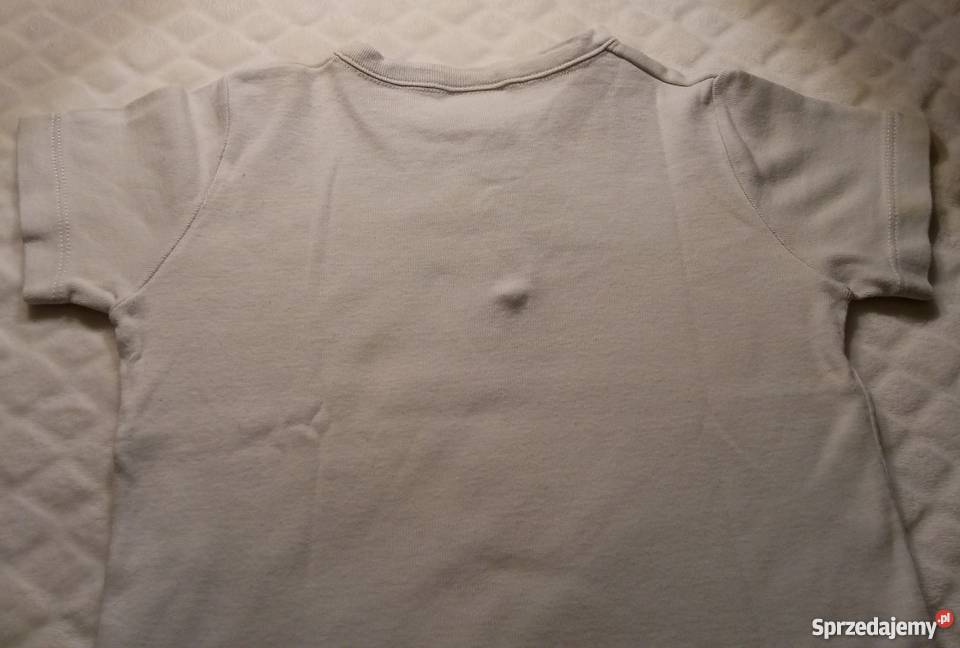 Bluzka chłopięca krótki rękaw Petit Bateau 24m