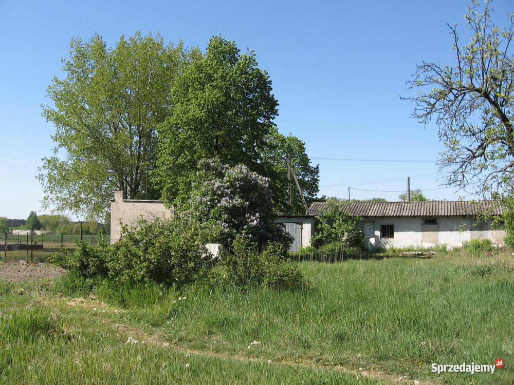 Dom na wsi Robczysko 200m2 Robczysko