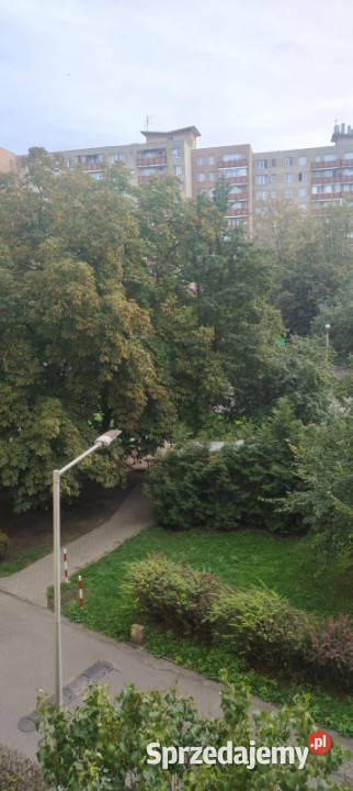 2 POKOJE 408 m2 2 PIĘTRO WIDOK NA ZIELEŃ Rok budowy 1975 Warszawa