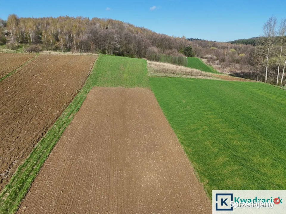 Dom wolnostojący Śliwnica 80m2 sprzedam