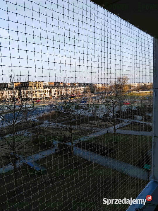 Założenie siatki na balkon kotów Warszawa Siatka