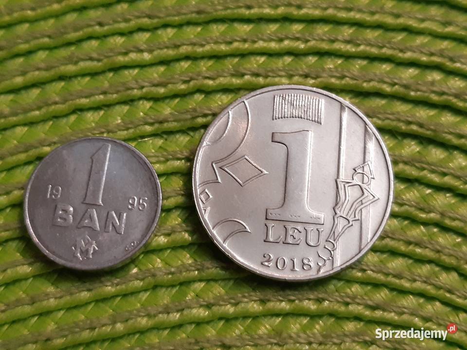 zestaw dwóch monet Mołdawii Łomża sprzedam