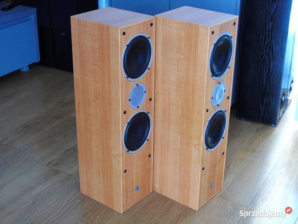 Kolumny Cat 2 x 380 wat ładne DOSTAWA Jasło