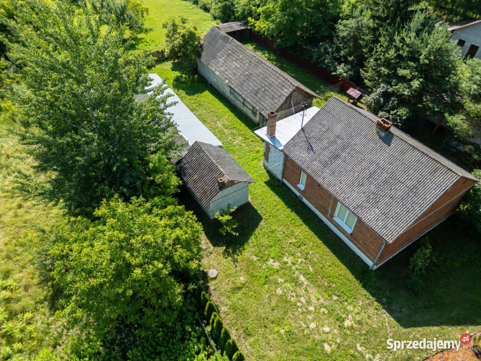 Dom 80m2 remoncie działka 3105m2 Dębno 3105m2 sprzedam