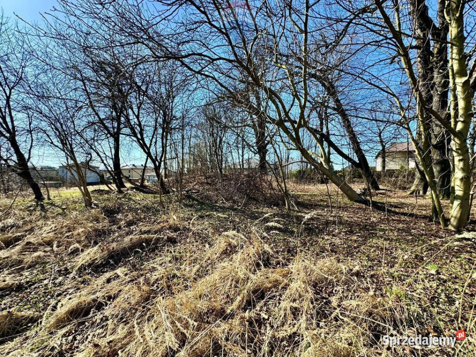 Działka budowlanousługowa Radlin Biertułtowy