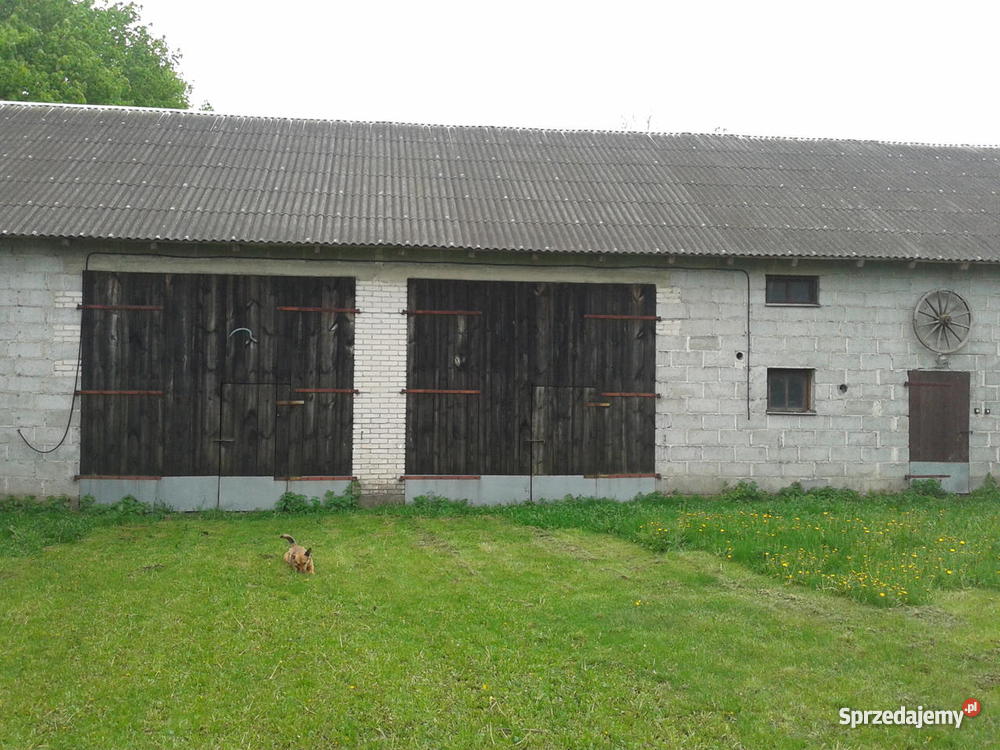 dom garaż i budynki gospodarcze Domy mazowieckie Zielona