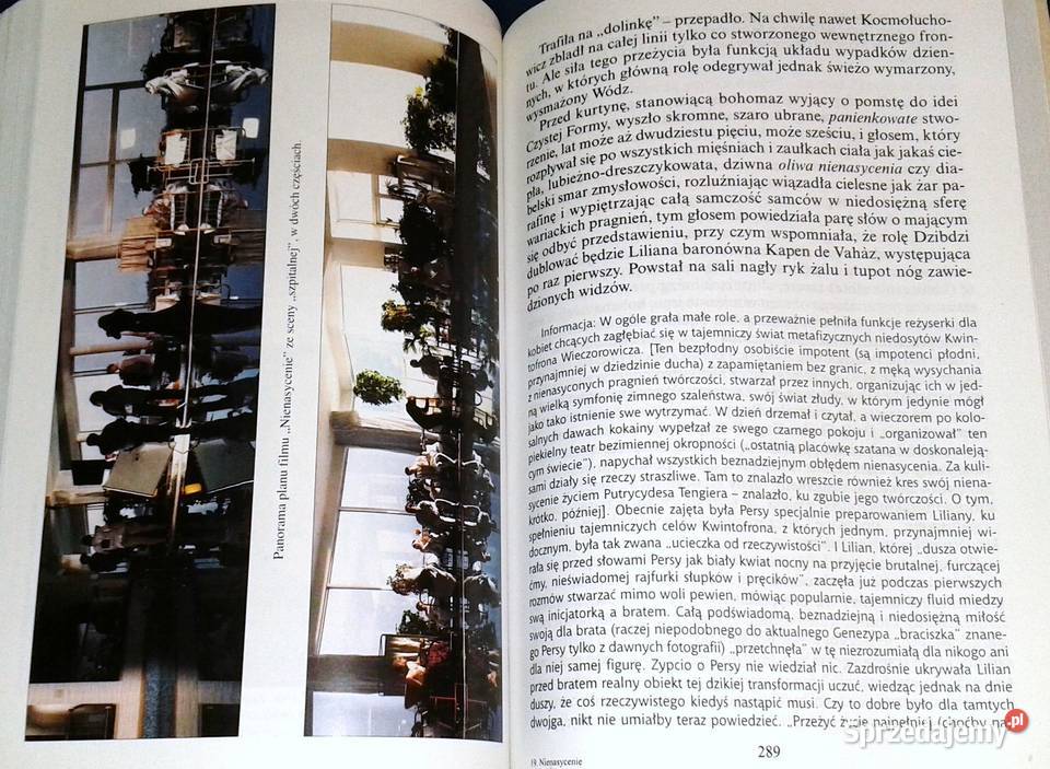 Nienasycenie Stanisław Ignacy Witkiewicz lubelskie Chełm