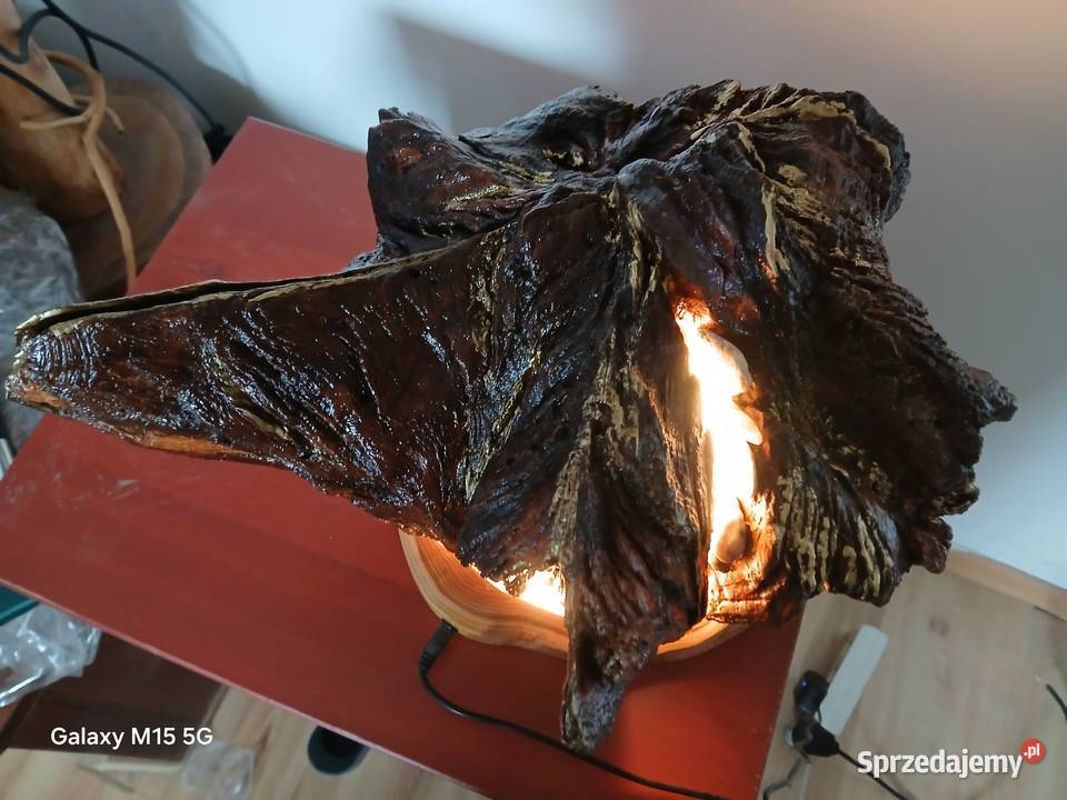 Lampa z korzenia dębu LED Lampy stołowe i nocne Skawina