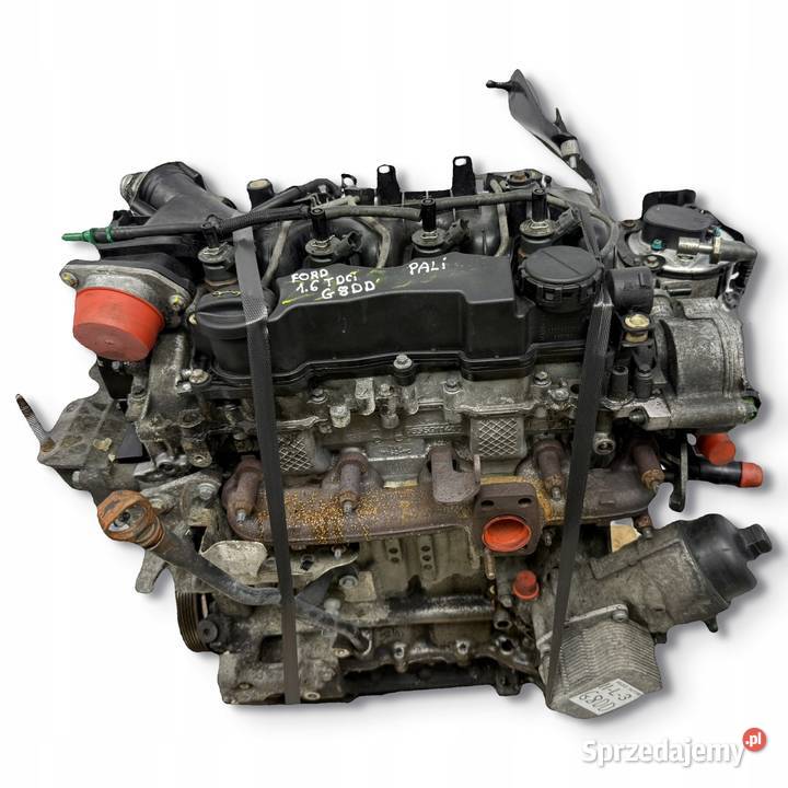 SILNIK KOMPLETNY G8DD Ford Focus II MK2 C C 16 sprzedam