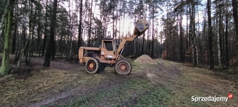 Ładowarka kołowa hanomag wielkopolskie