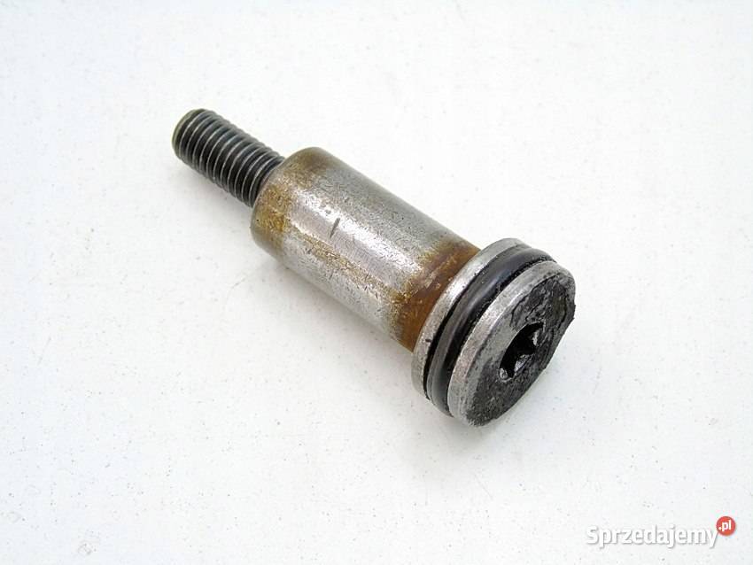 ŚRUBA ROZRZĄDU 14 16 VTI 207 208 C3 C4 308 C5 Sosnowiec