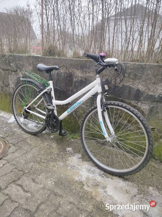 Sprzedam 2 rowery 400 śląskie Tychy