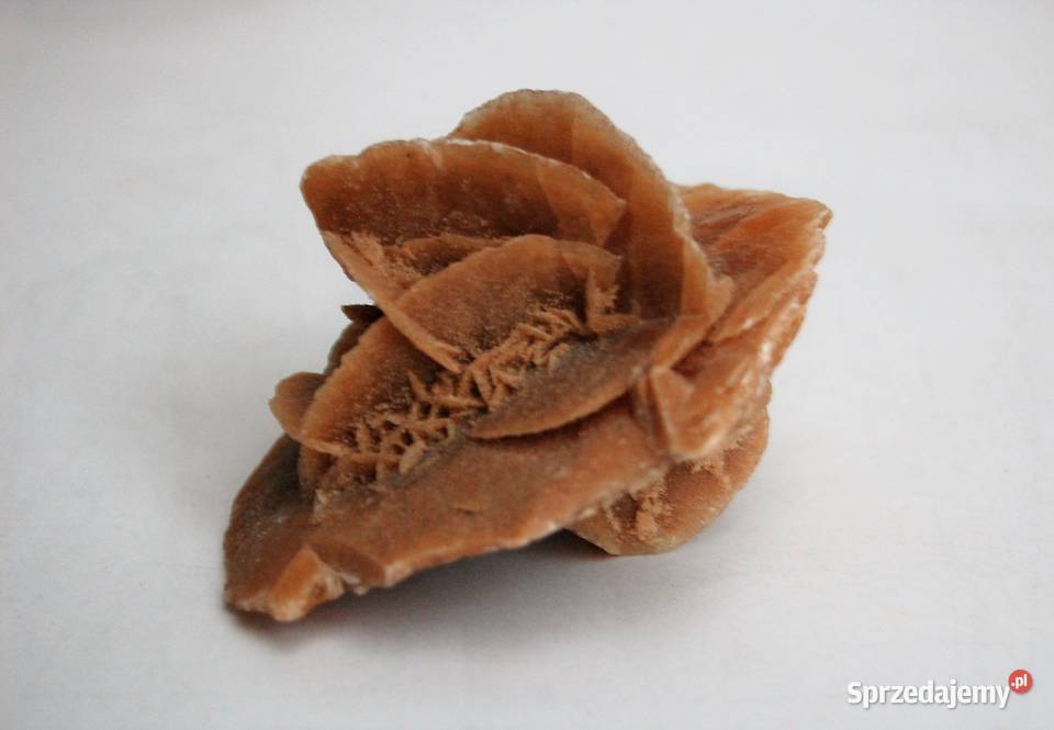 Róża pustyni kamień Sahara 83 Lublin