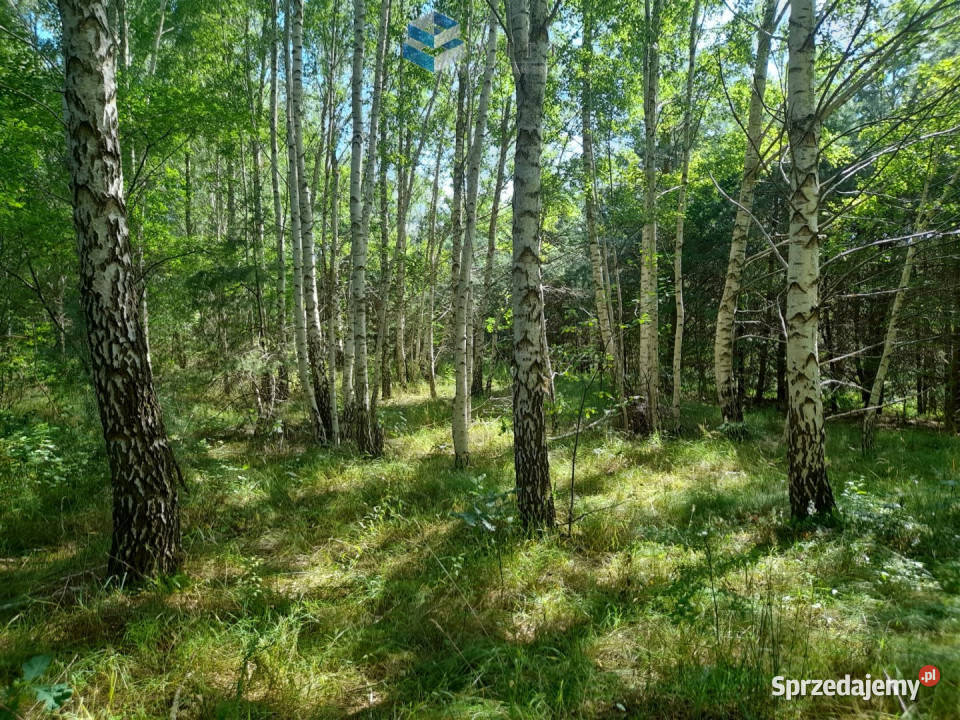 Działka 30000m2 Florczaki