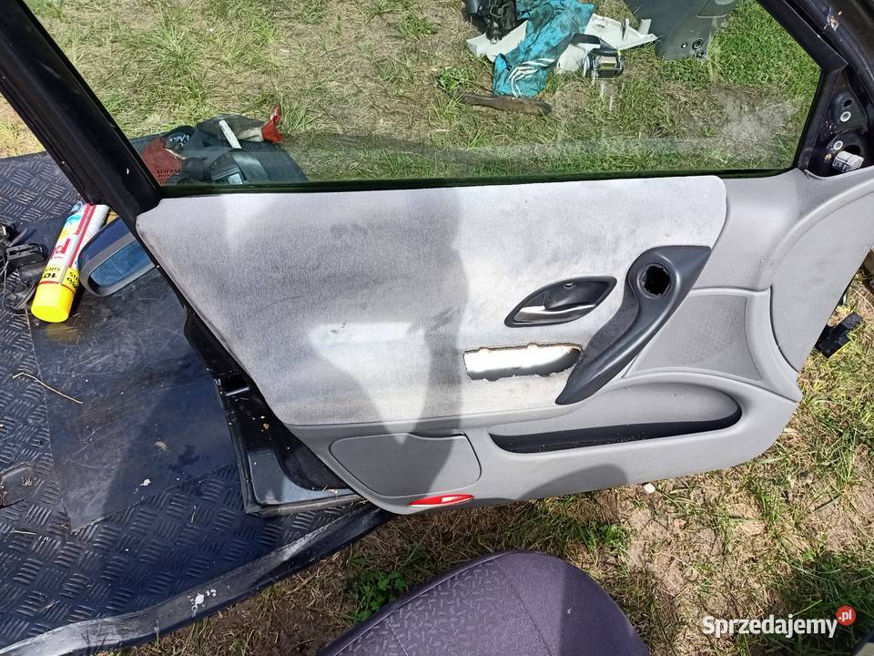 drzwi przednie lewe renault laguna II Teb66 Szczecin sprzedam