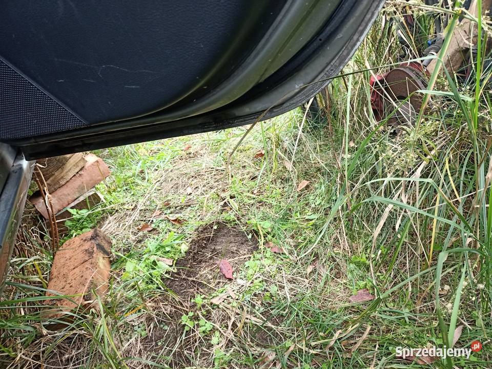 Drzwi prawe tylne tył nissan primera P12 K30 G Karoseria zachodniopomorskie Szczecin